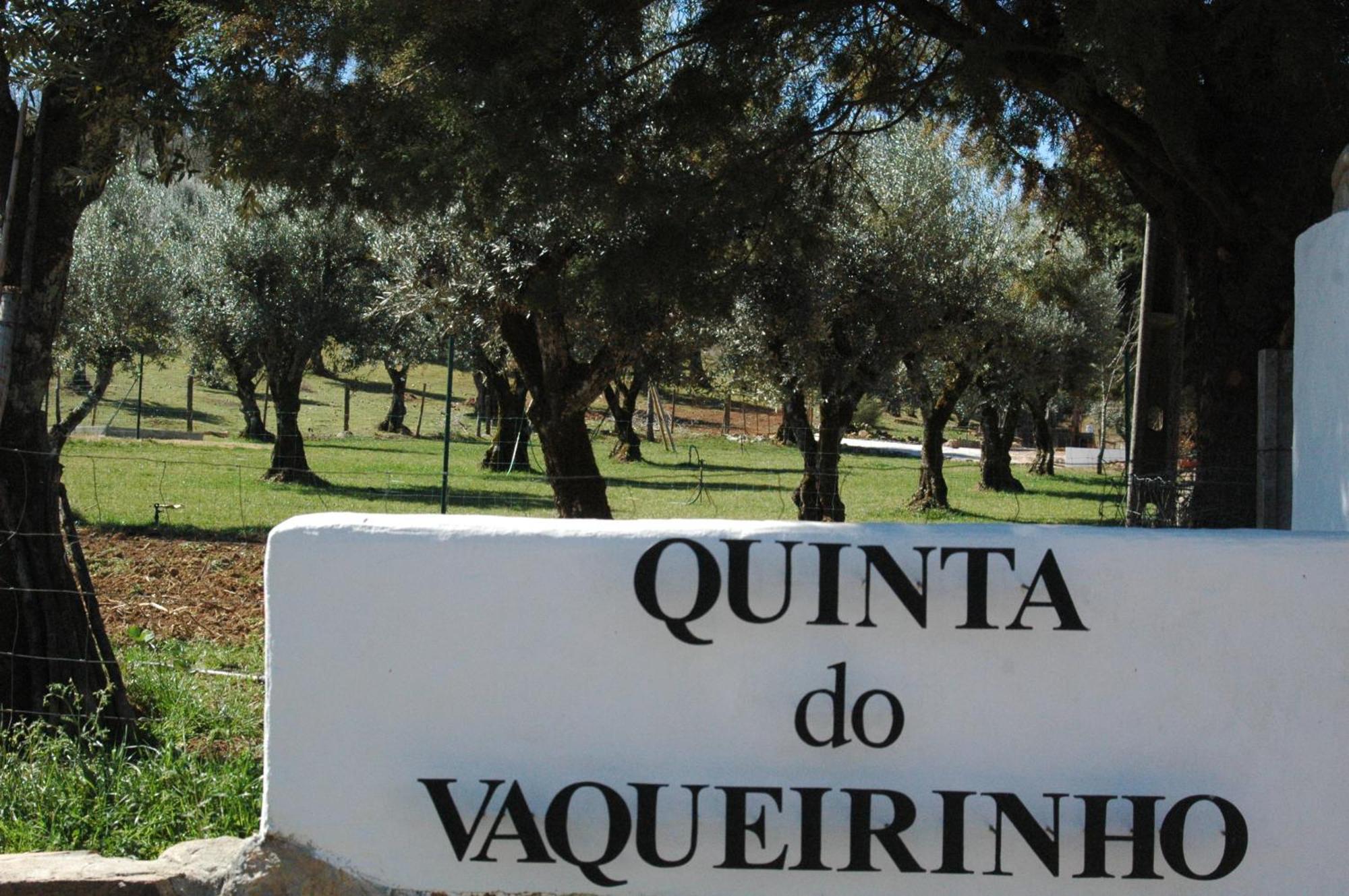 Quinta Do Vaqueirinho - Agro-Turismo Villa Marvão Eksteriør billede