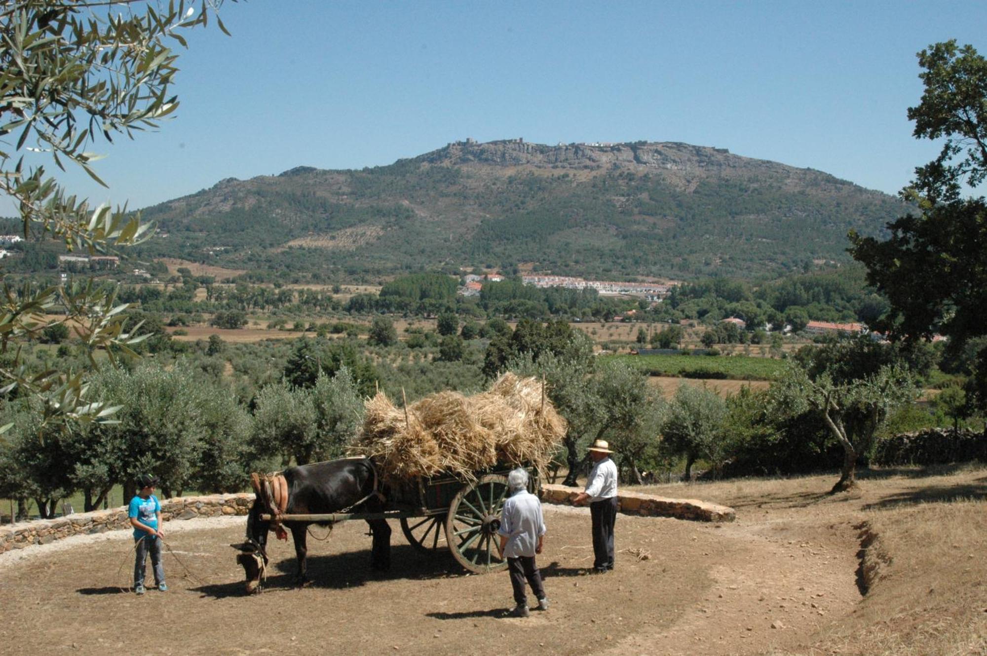 Quinta Do Vaqueirinho - Agro-Turismo Villa Marvão Eksteriør billede