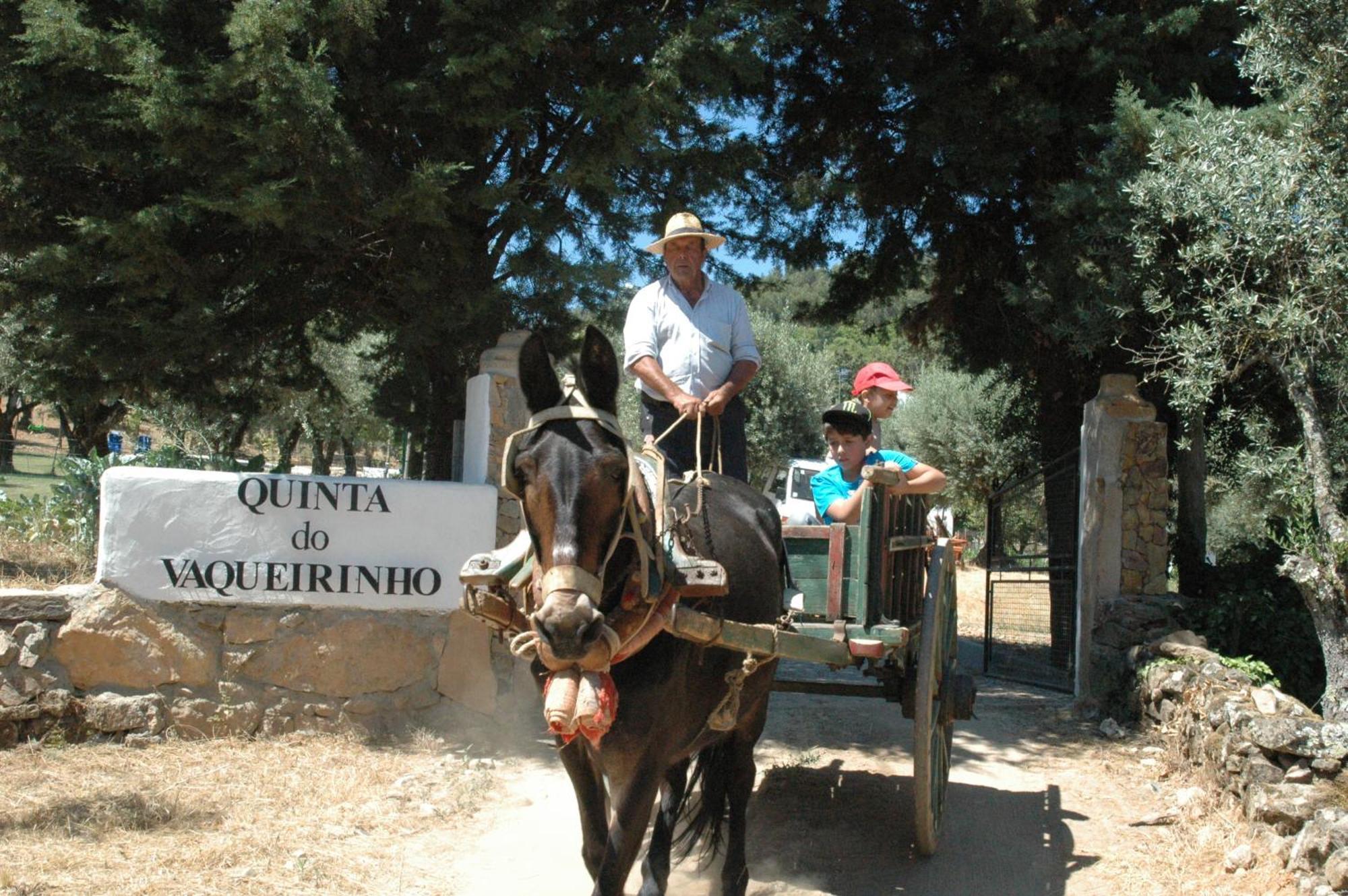 Quinta Do Vaqueirinho - Agro-Turismo Villa Marvão Eksteriør billede