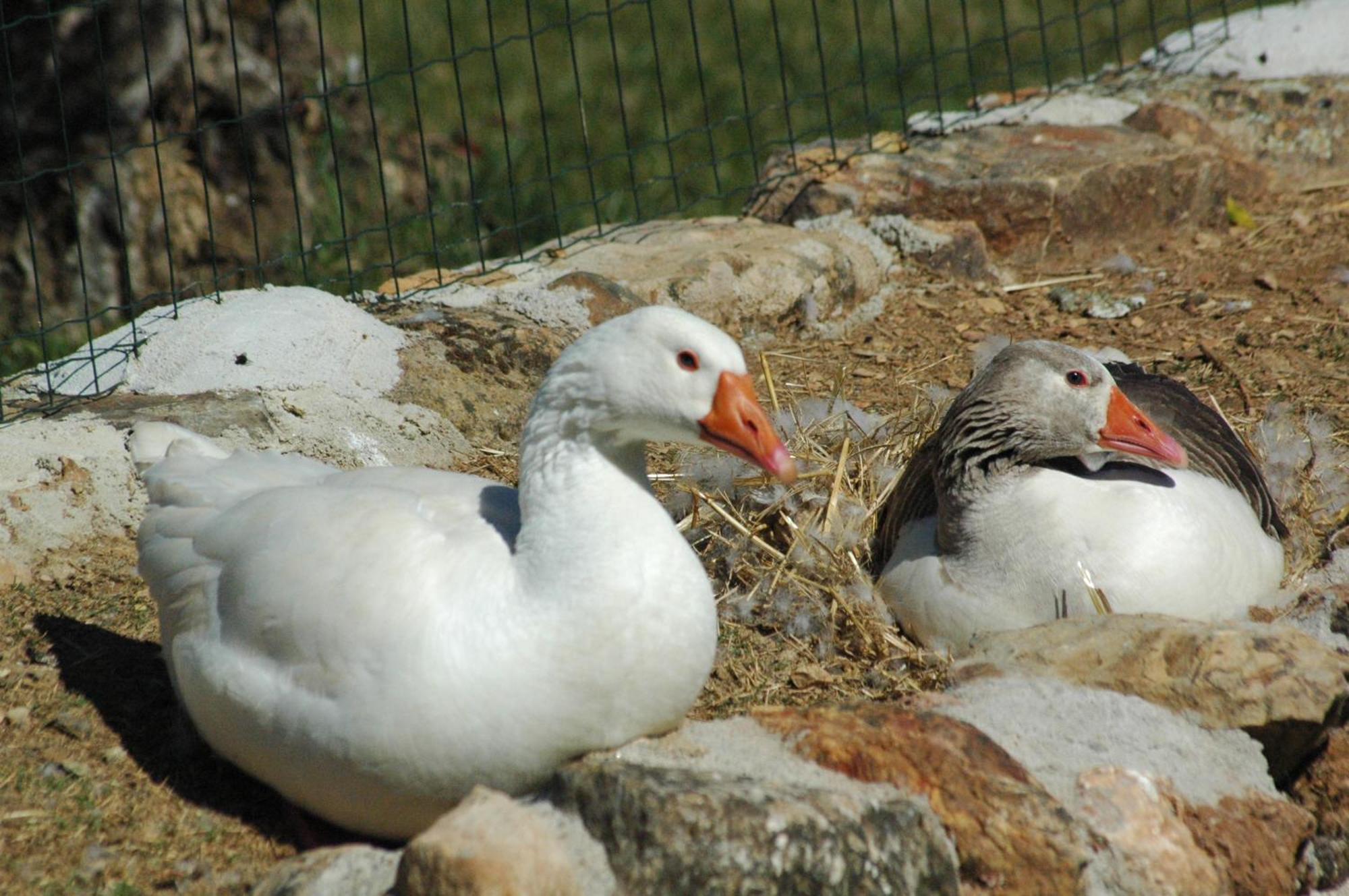 Quinta Do Vaqueirinho - Agro-Turismo Villa Marvão Eksteriør billede