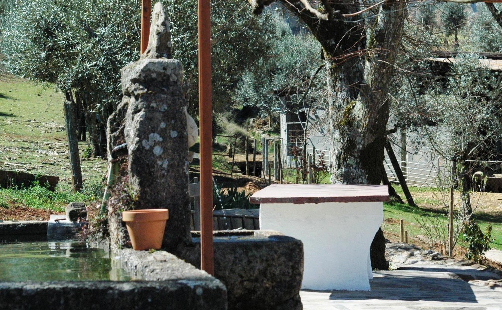 Quinta Do Vaqueirinho - Agro-Turismo Villa Marvão Eksteriør billede