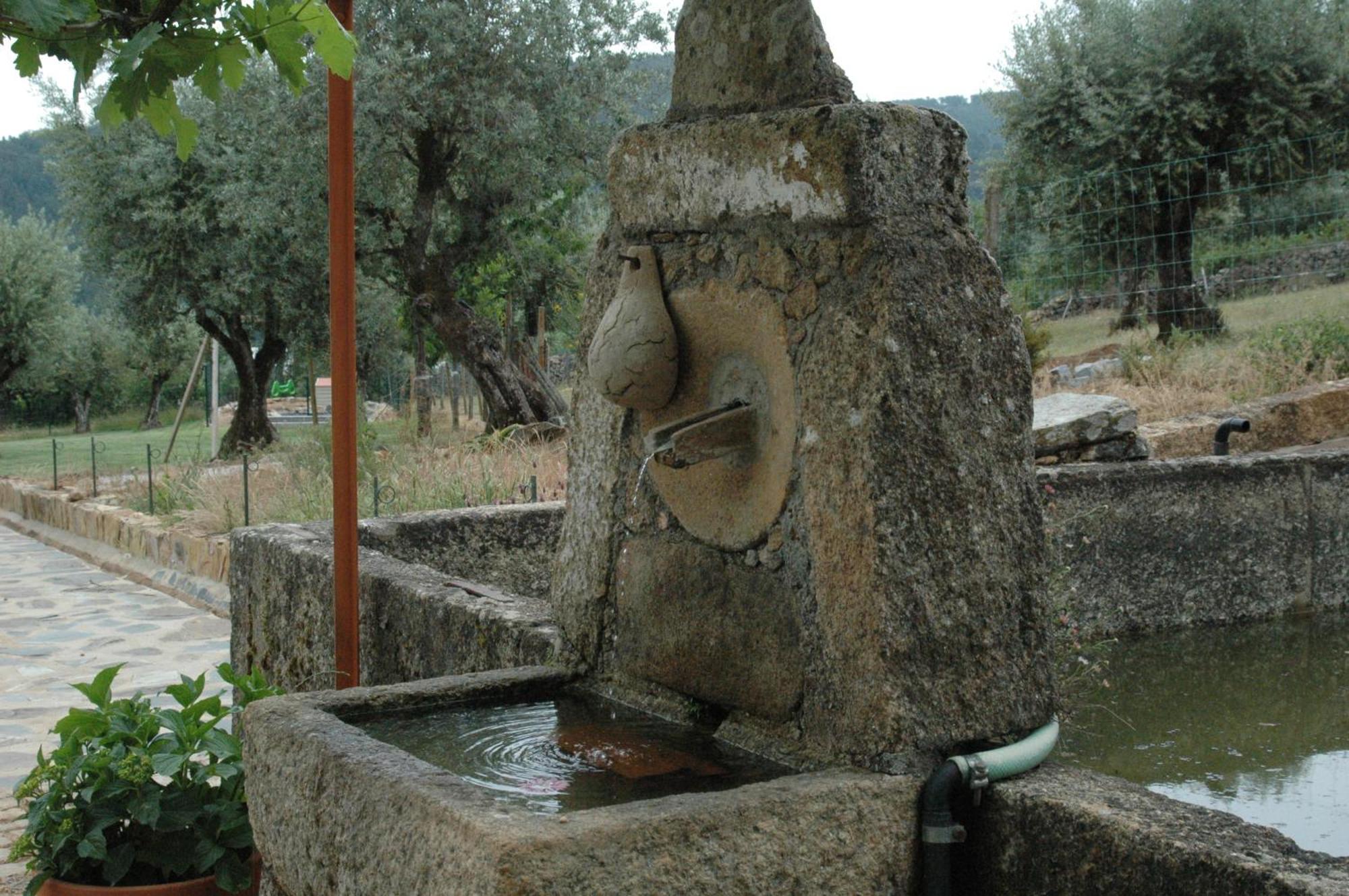 Quinta Do Vaqueirinho - Agro-Turismo Villa Marvão Eksteriør billede
