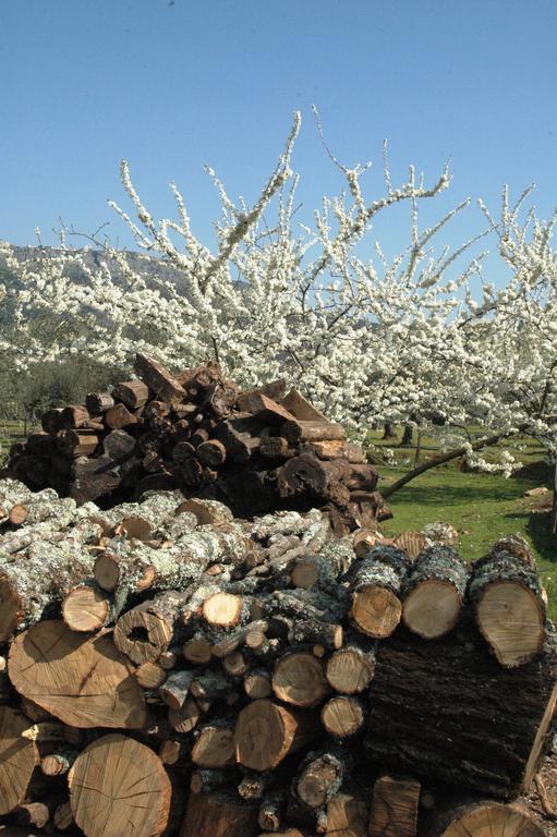 Quinta Do Vaqueirinho - Agro-Turismo Villa Marvão Eksteriør billede
